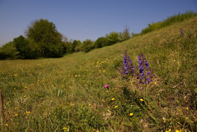 Am Europareservat Unterer Inn