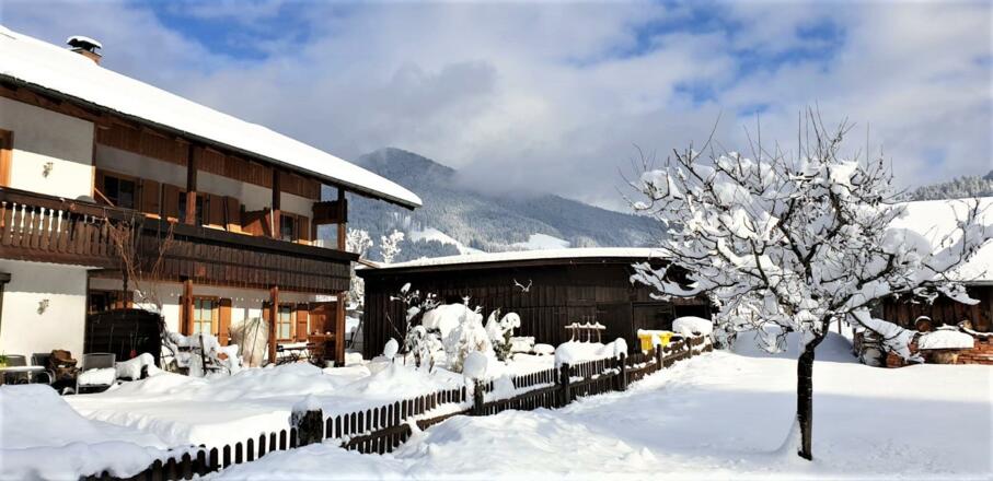 IMG-20210116-WA0003a