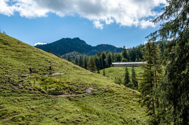 Geißalm