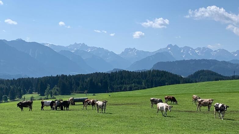 Blick vom Haus