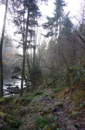 steinige Pfade durch das Pfreimdtal