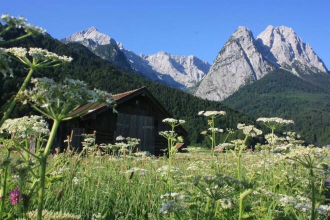 Hammersbacher Wiesen