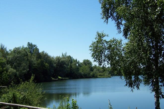 Blick auf den Kirchdorfer Waldsee
