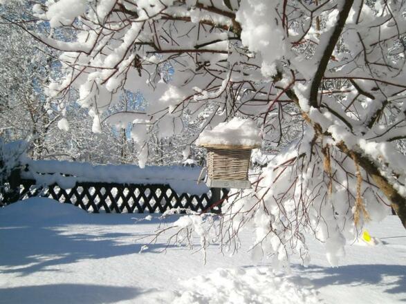Garten im Winter