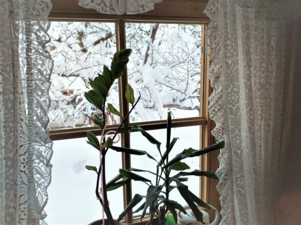 IMG-20210115-WA0011a