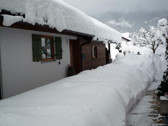 Winter 2021
