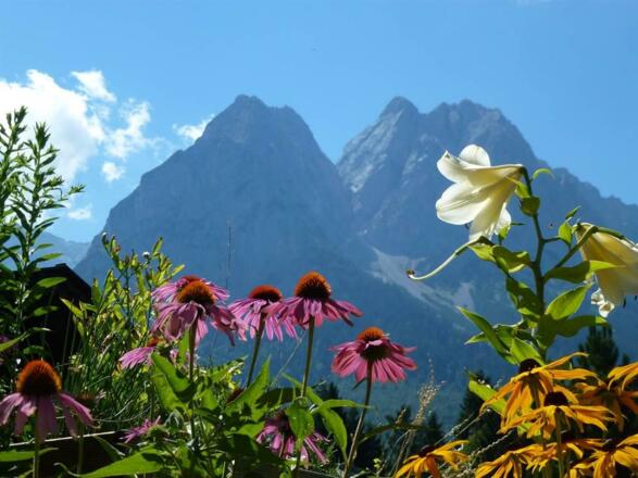 Wunderschöner Gebirgsblick