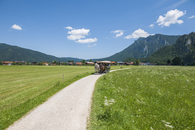 Pferdekutschfahrten Franken