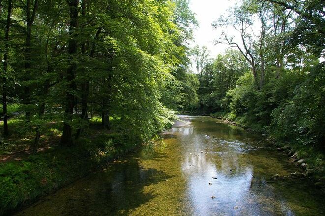 Der klare Mühlbach windet sich zwischen hohen, grünen Bäumen des Eichentals in Prien am Chiemsee.
