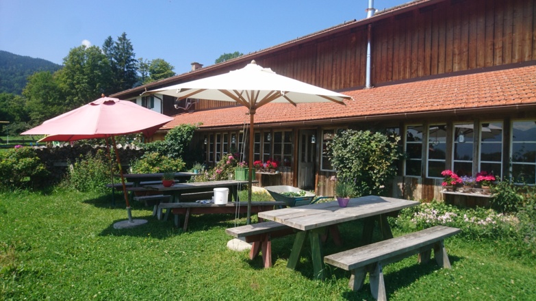 boarhof