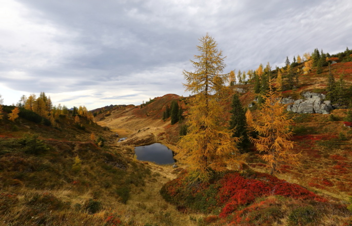 Trögseen Herbst