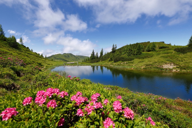 Trögseen