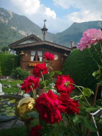 IMG_20180820_164519_resized_20200726_014108257