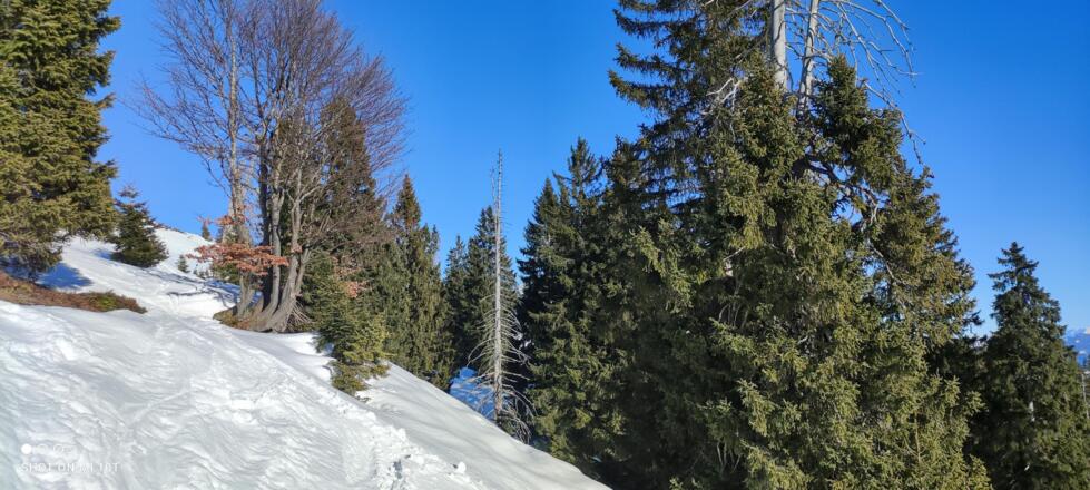 Winterblick vom Tabor3