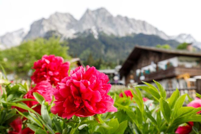 Blick zum Waxenstein