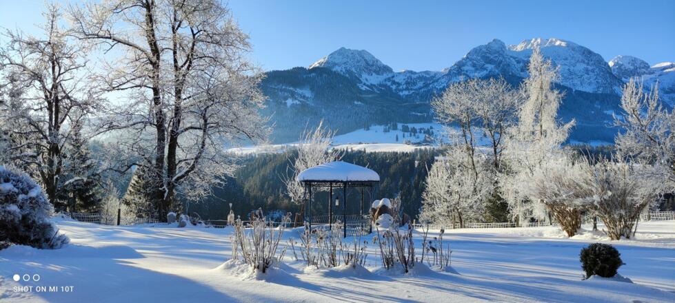 Garten mit Blick auf das Tennengebirge Winter