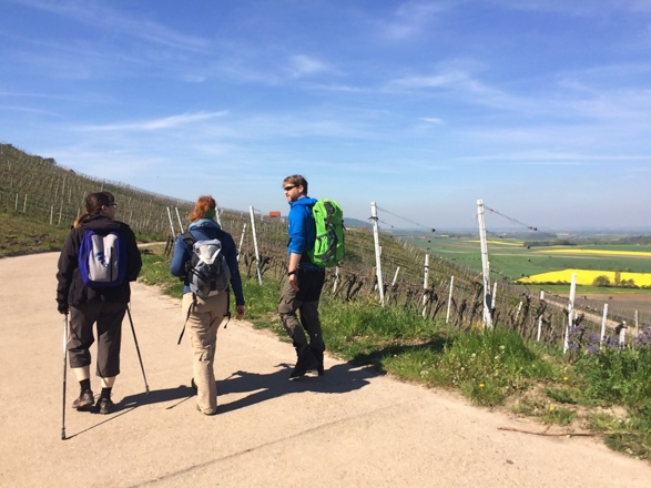 Durch die Weinberge