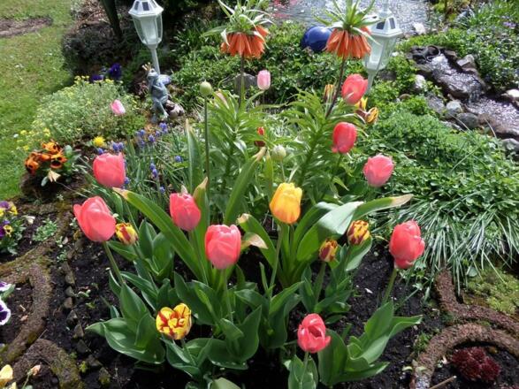 Langsam kommt der Sommer