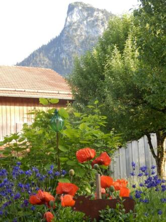 Der Kofel unser Hausberg