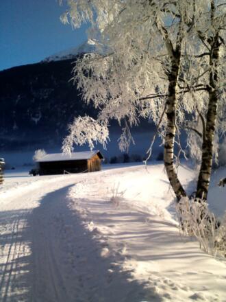 hinterm Haus