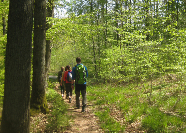 Auf Waldwegen