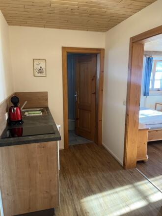 Zimmer 2 Eingangsbereich mit Teeküche.