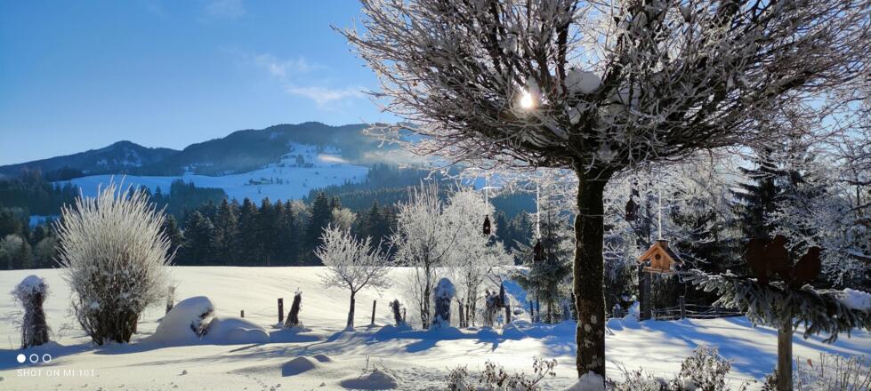 total Schneeverliebt