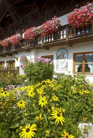 Blumenpracht im Sommer