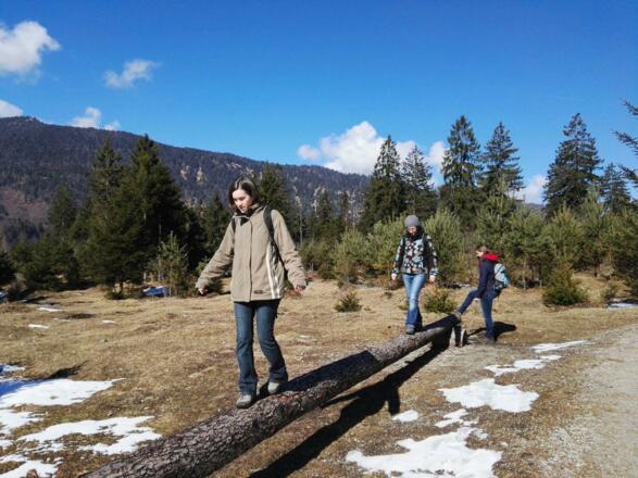 Waldlehrpfad Farchant zu den Kuhfluchtwasserfällen