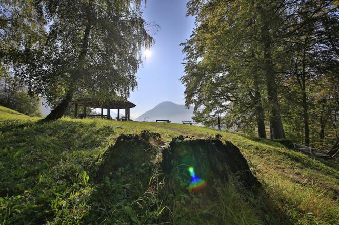 Kleines Paraplui Tegernsee
