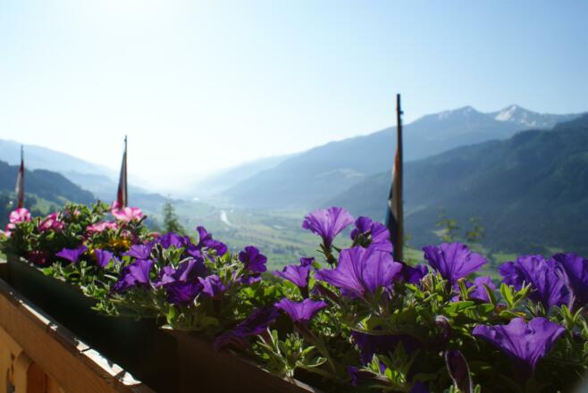 Blick vom Balkon