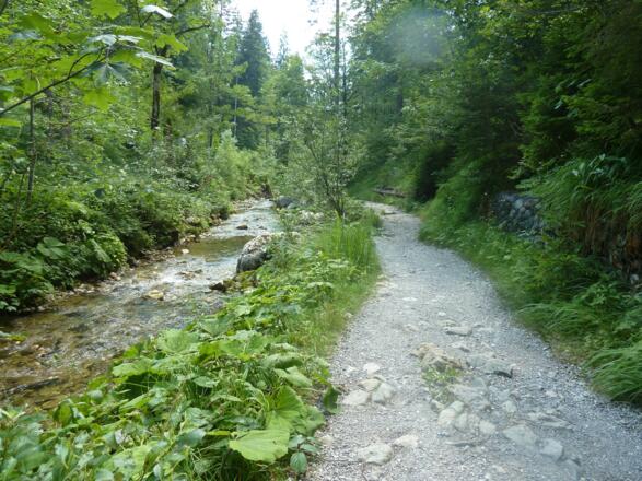 Weg zur Schwarzentenn