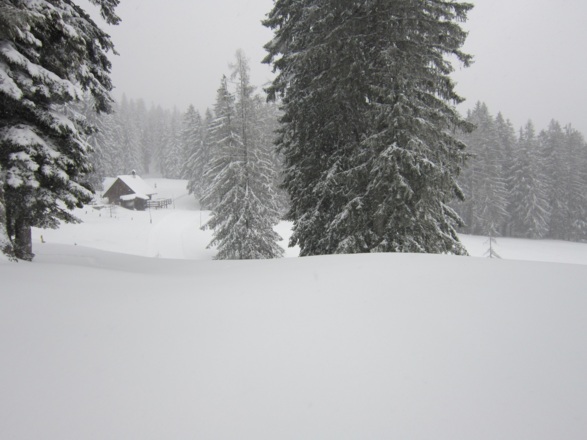 Schneeschuh- bzw. Skitourenrunde - Rossmoos Runde in Bad Goisern am Hallstättersee
