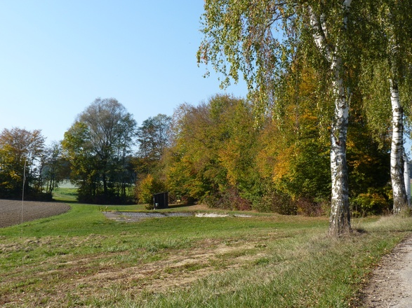 Badestelle bei Dietring