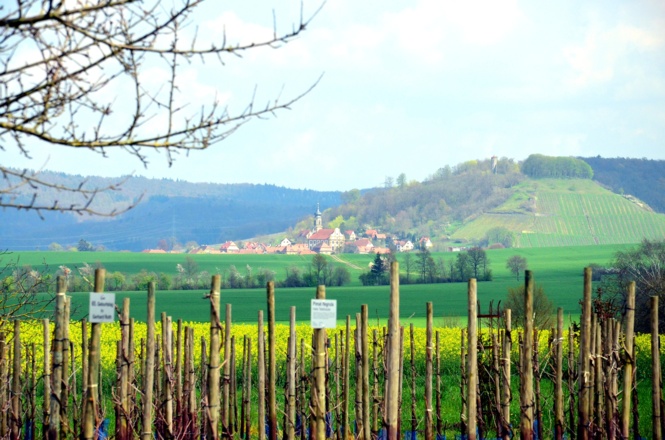 Aussicht Wiesenbronn