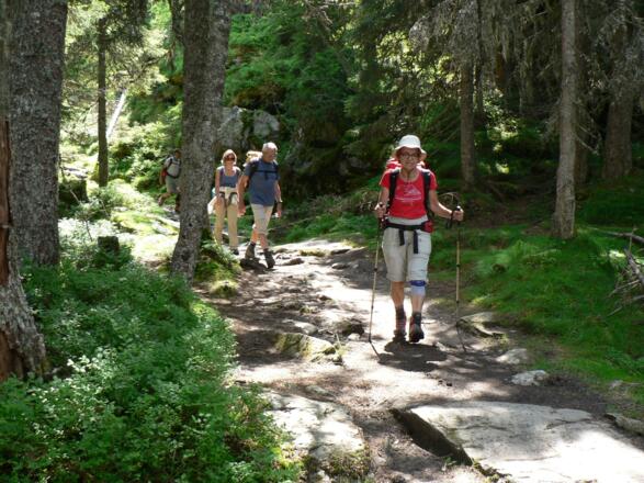... stellt sich dann aber als komfortabler Alm-Spazierweg heraus