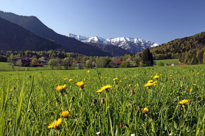 Blick nach Kreuth