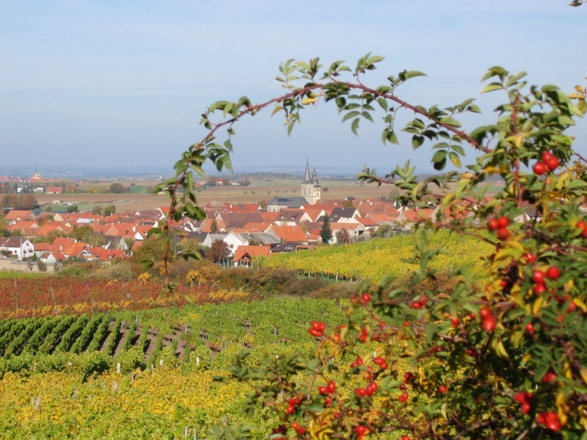 Blick auf Hüttenheim