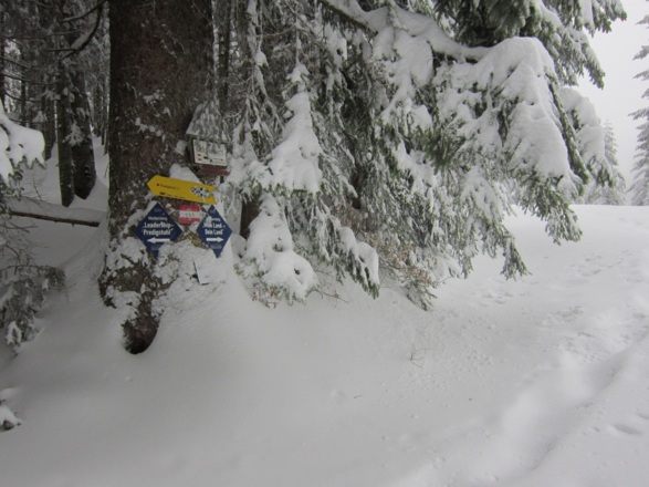 Schneeschuh- bzw. Skitourenrunde - Rossmoos Runde in Bad Goisern