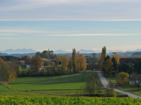 Ausblick bei Edeneibach