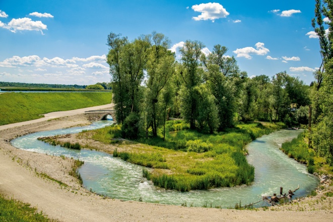 Umgehungsgerinne (Fischtreppe) bei Ering