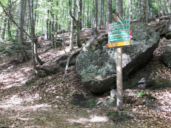 Weg zum Großen Arber