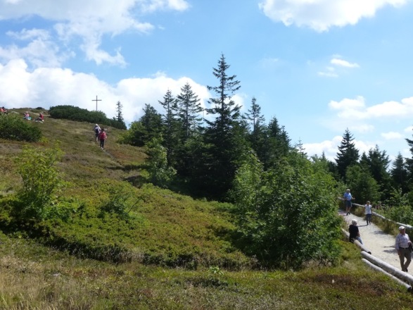 Sicht zum Gipfel des Großen Arber (1456 m)