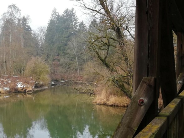 Blick von der alten Holzbrücke auf die Altwasser der Amper