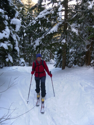 Weg zur Kührointalm