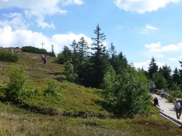 Weg zum Seeriegel und Arberkapelle