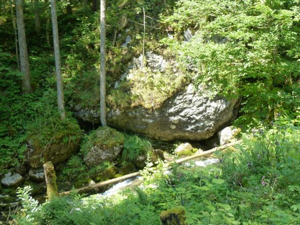 Schwarzenbachtal