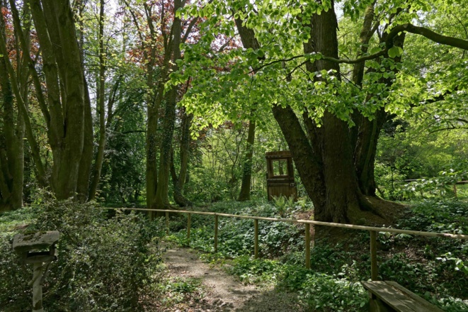 Am Wassergarten bei Mitterskirchen