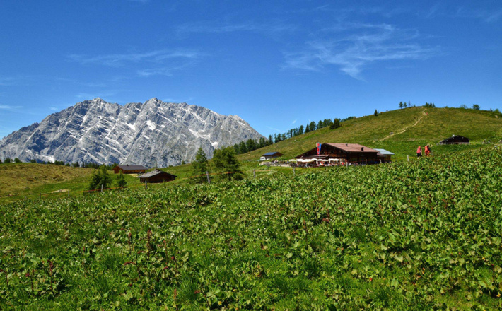 Die Gotzenalm, im Hintergrund die Watzmann Ostwand
