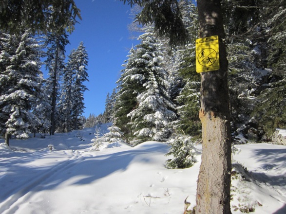 Schneeschuh- bzw. Tourenskirunde - Kleine Rosenkogelrunde in Bad Goisern am HallstätterseeHallstättersee